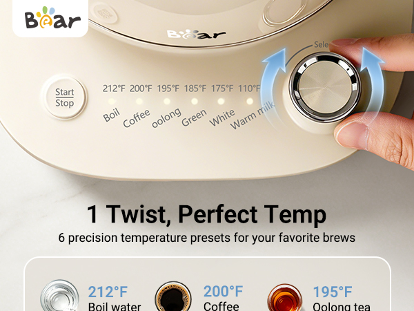  Bear electric kettle