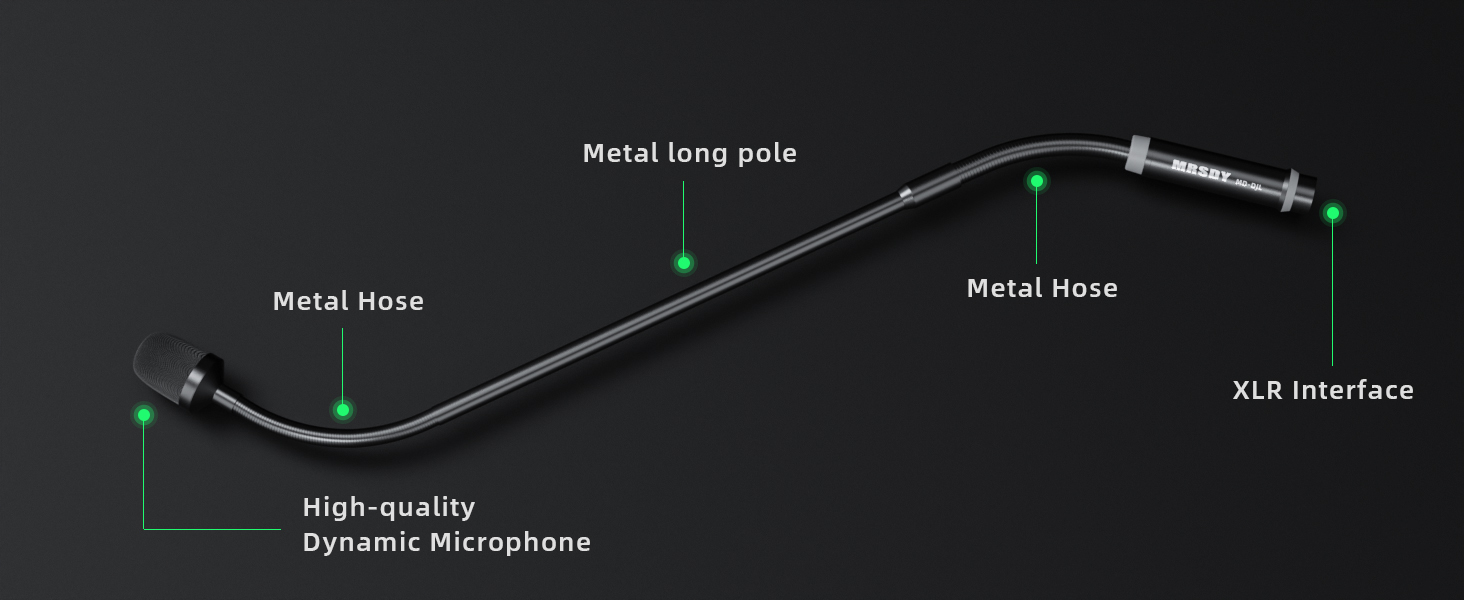 DJ Microphone