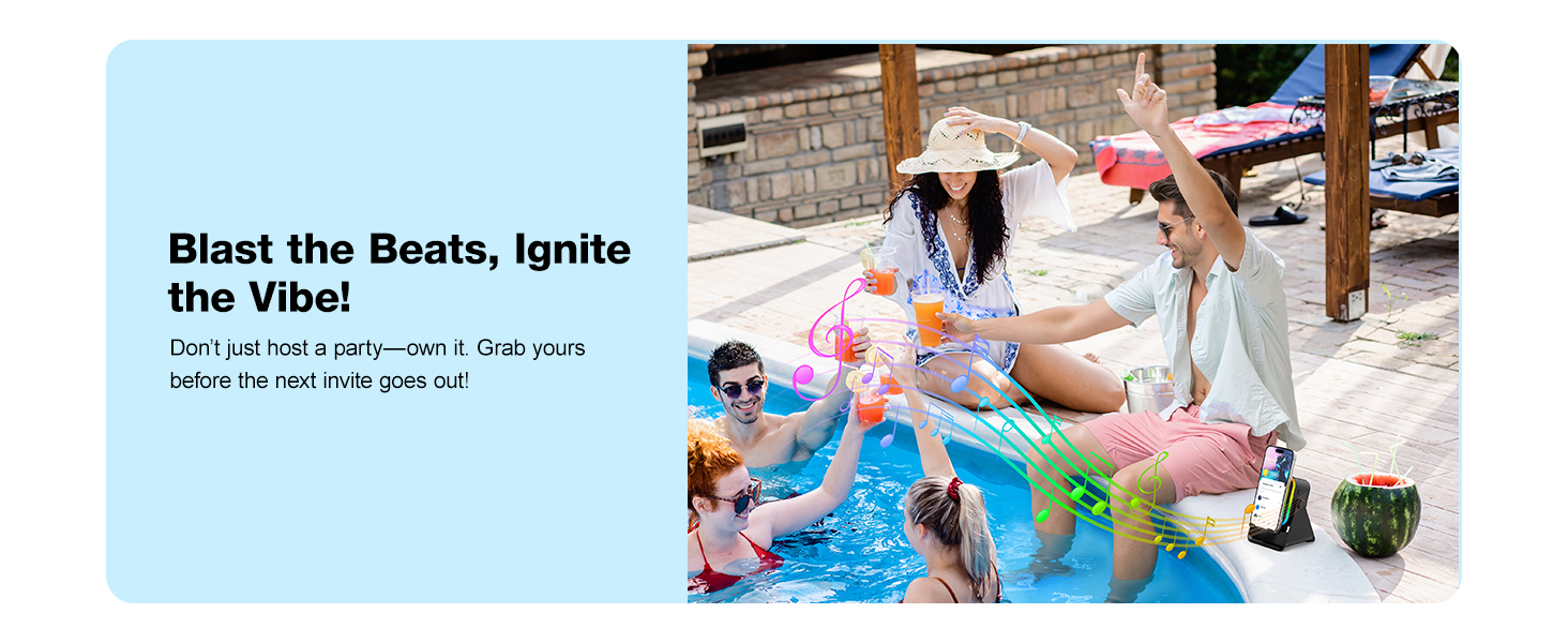 Wireless Induction Speaker