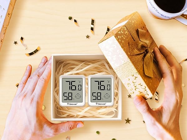 thermometer hygrometer