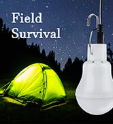 solar bulbs