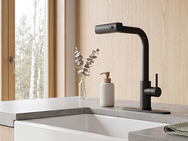 Farmhouse Sink Faucet