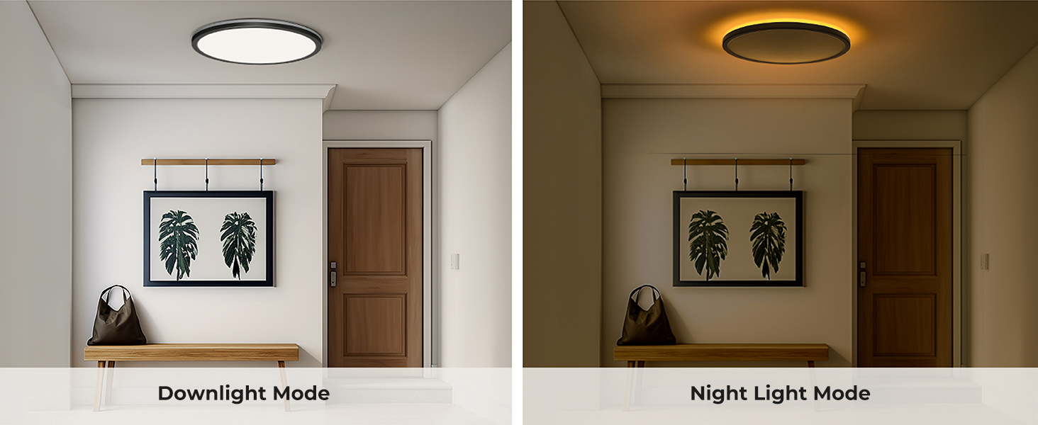 remote control ceiling light