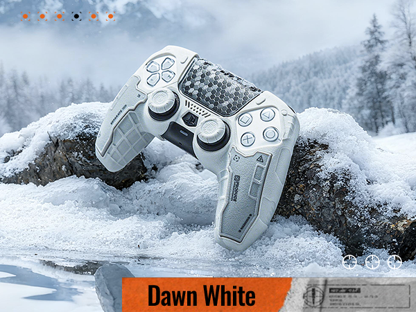 Text reads 'Dawn White'. Multiple views of a gaming controller placed in snow, showing different angles against snowy winter background with mountains visible.