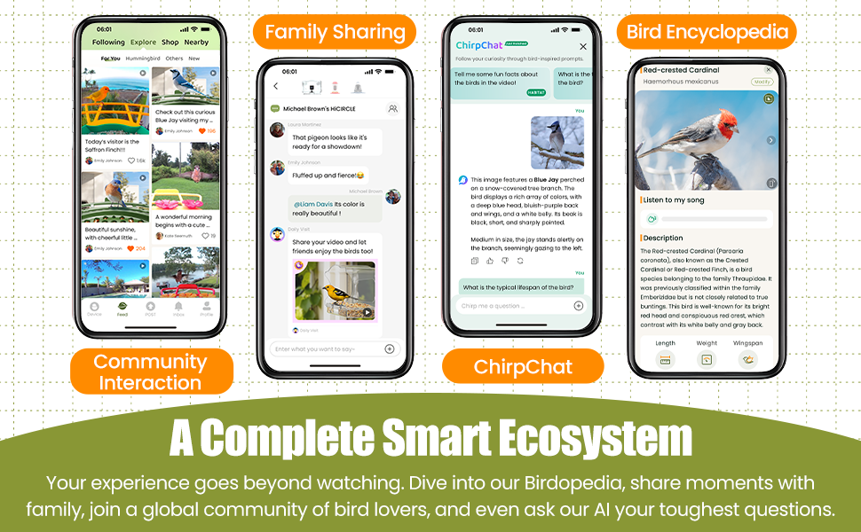 window bird feeders with smart camera
