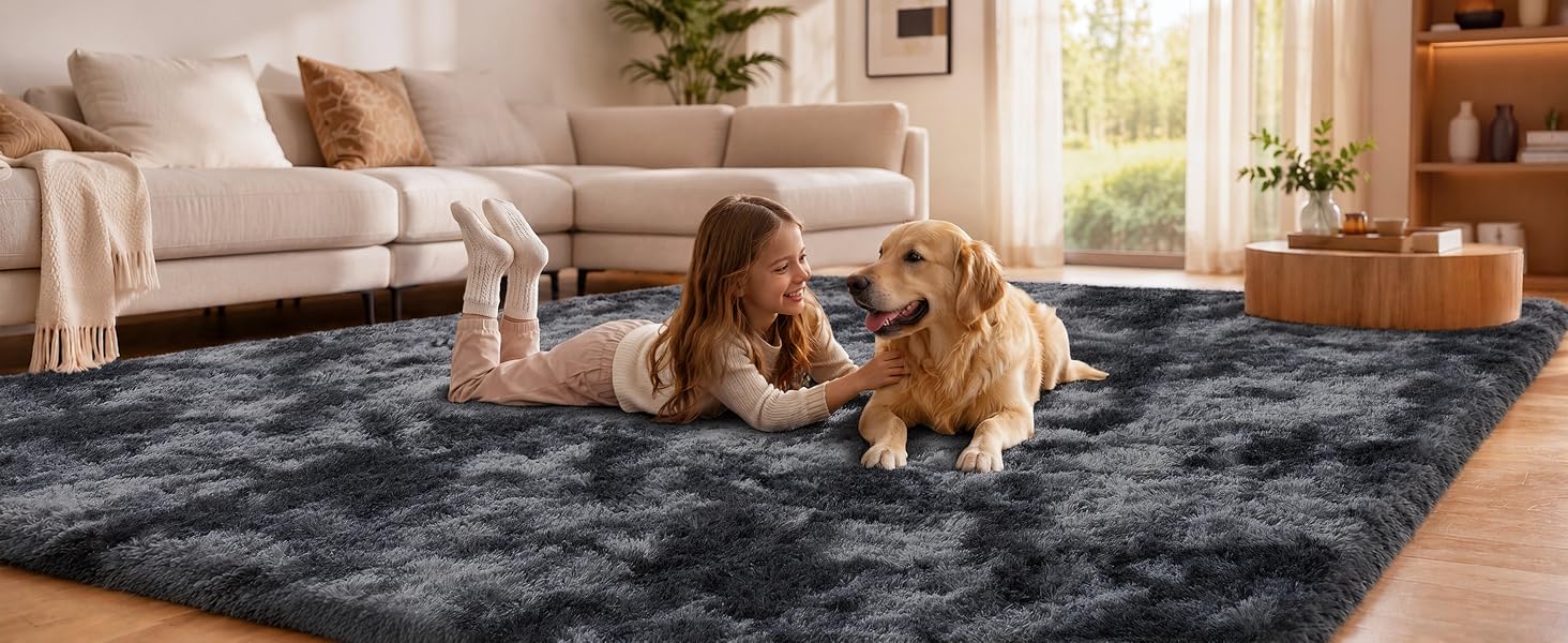 Rug for Living Room