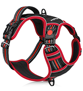3 buckl dog harness