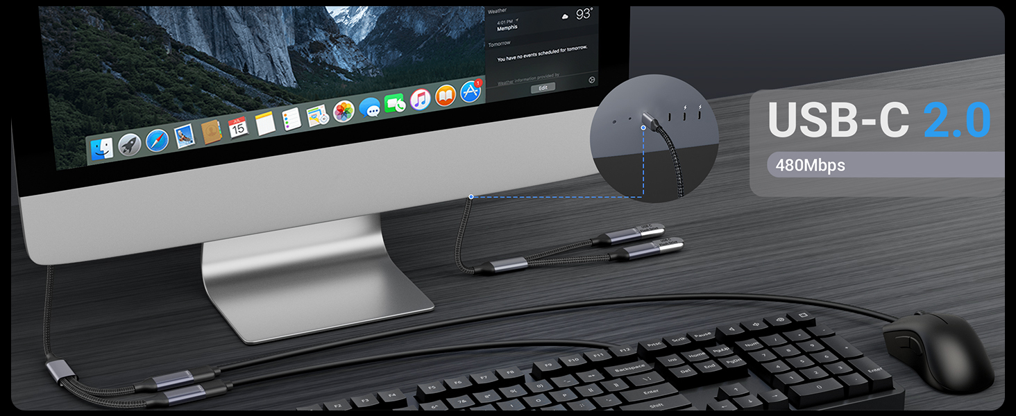 USB-C to USB-C Splitter