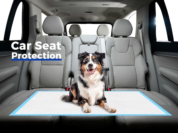 car seat protection