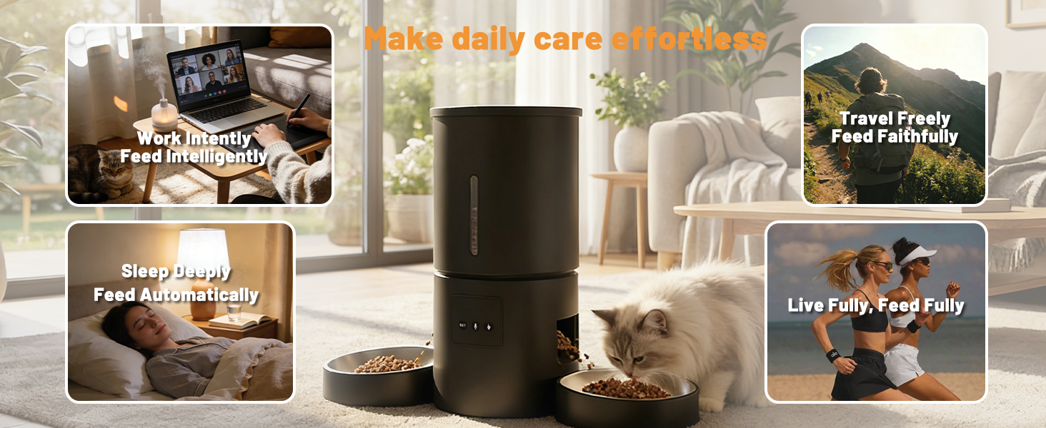 cat automatic feeders 2 cats
