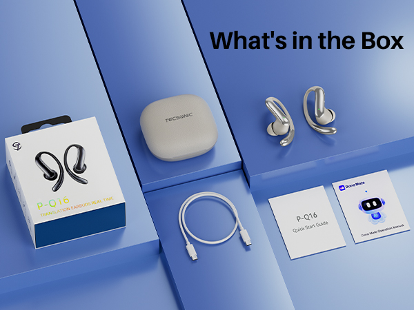 translator earbuds real time