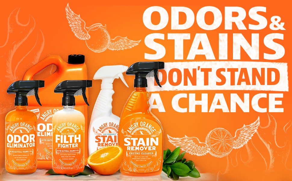 Odors &amp; Stains Don't Stand A Chance