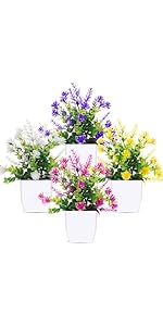 https://m.media-amazon.com/images/S/aplus-media-library-service-media/16bdaa93-de03-4205-bbb1-7829128a02bf.__AC_SR150,300___.jpg