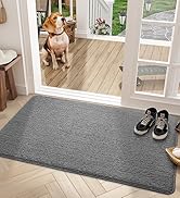 Color G Indoor Door Mat Entryway Rug Floor Mats for House, 20"x32" Welcome Doormat for Front Door...