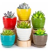Elsjoy 6 Pack 4.3 Inch Ceramic Succulent Pots with Drainage and Attached Saucer, Small Decorative...