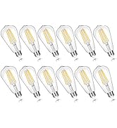 12-Pack Vintage 7W ST58 LED Edison Light Bulbs 60W Equivalent, 850Lumens, 3000K Soft Warm White, ...
