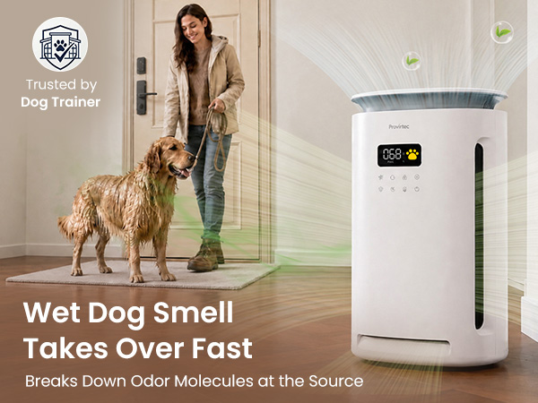 air purifier for pet smells
