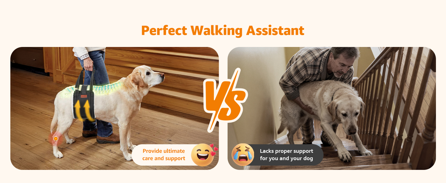 dog sling carrier