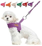 BEAUTYZOO Dog Harness for Small Dogs, No Pull Dog Harness and Leash Set, Soft Escape Proof Puppy ...