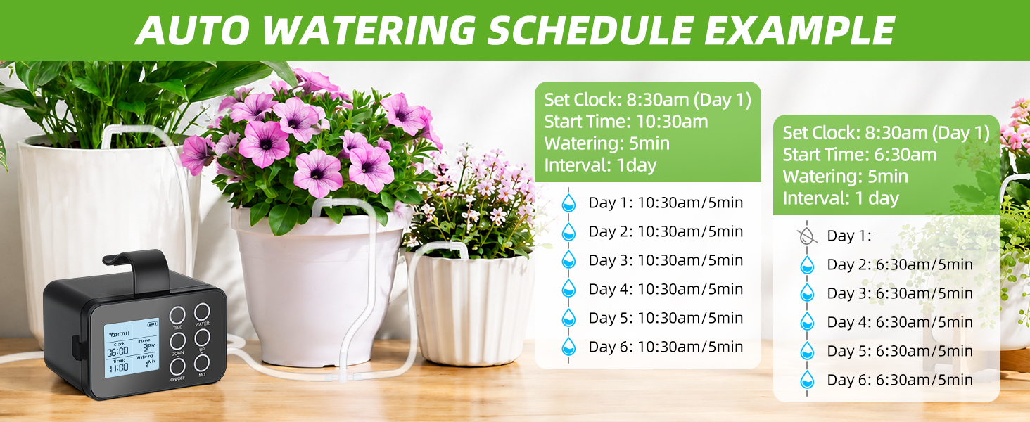 indoor plant watering system