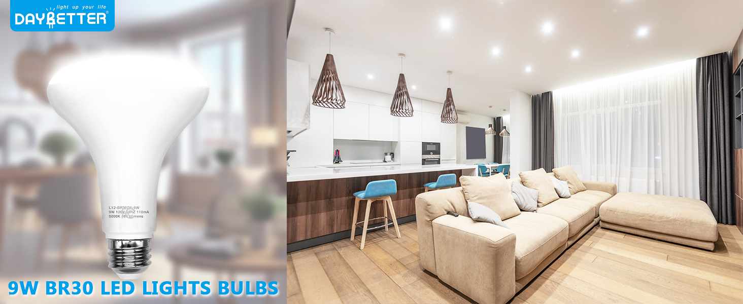 BR30 LED Light Bulbs 5000K 65W Equivalent