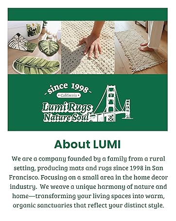 About LUMI