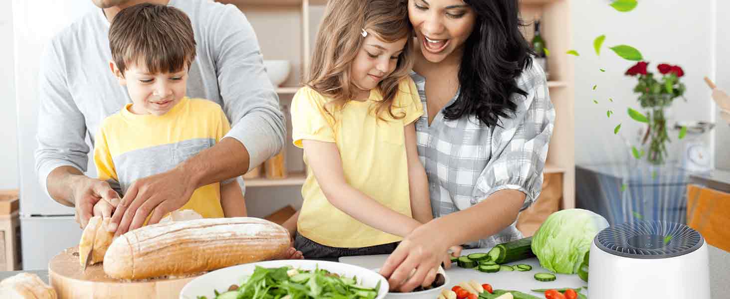 LQ-Mini-AA-1464-A10EA