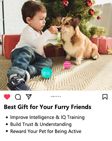 dog puzzle toys for large dogs