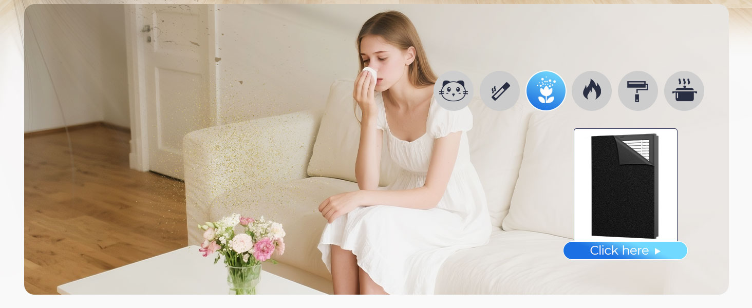 hepa air purifiers for home