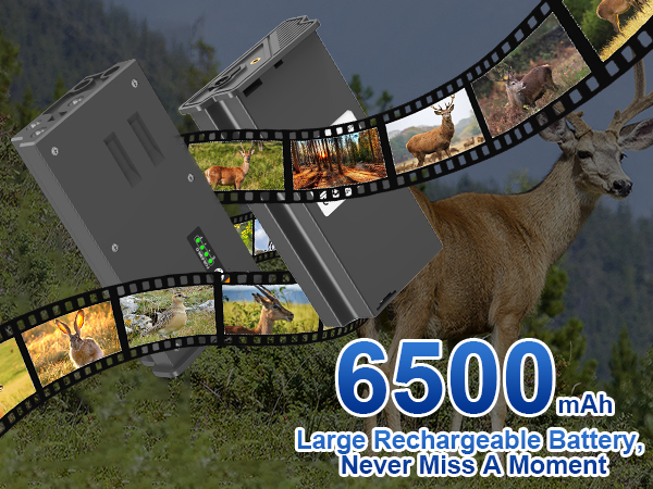 battery pack for tactacam reveal