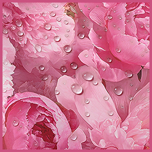 Reinforced edges and stitching help reduce corner wear for daily use