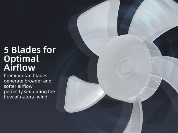 Koonie USB Fan, Strong Wind Ultra Quiet Small Desk Fan