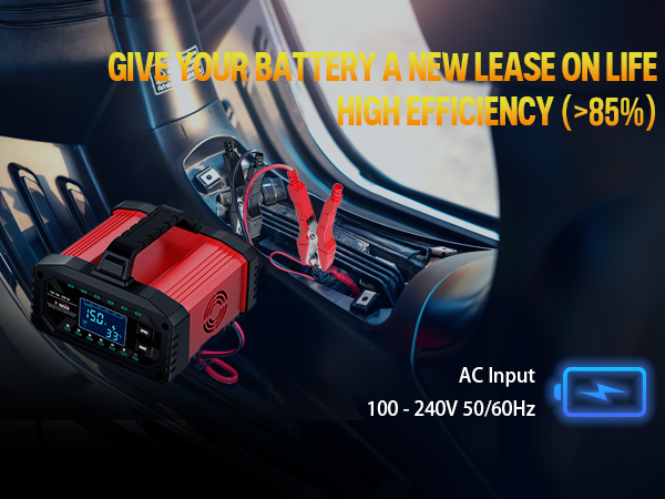 lifepo4 battery charger