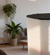 wifi cat feeder with camera