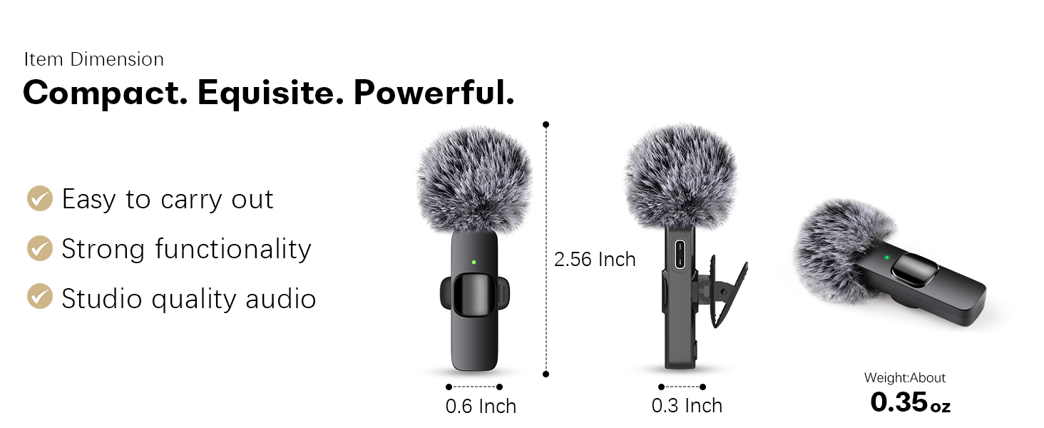 mic