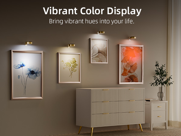 Picture Lights for Wall