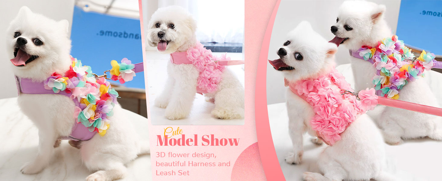 dog harness