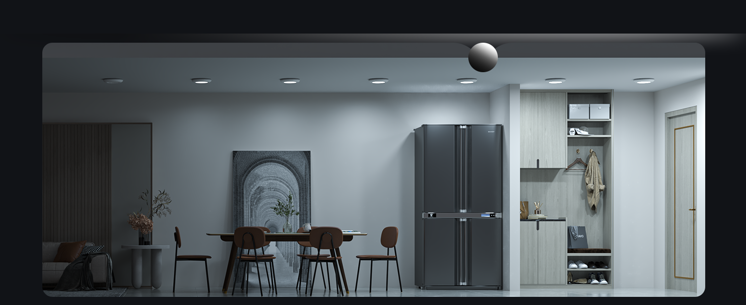 disk light pro