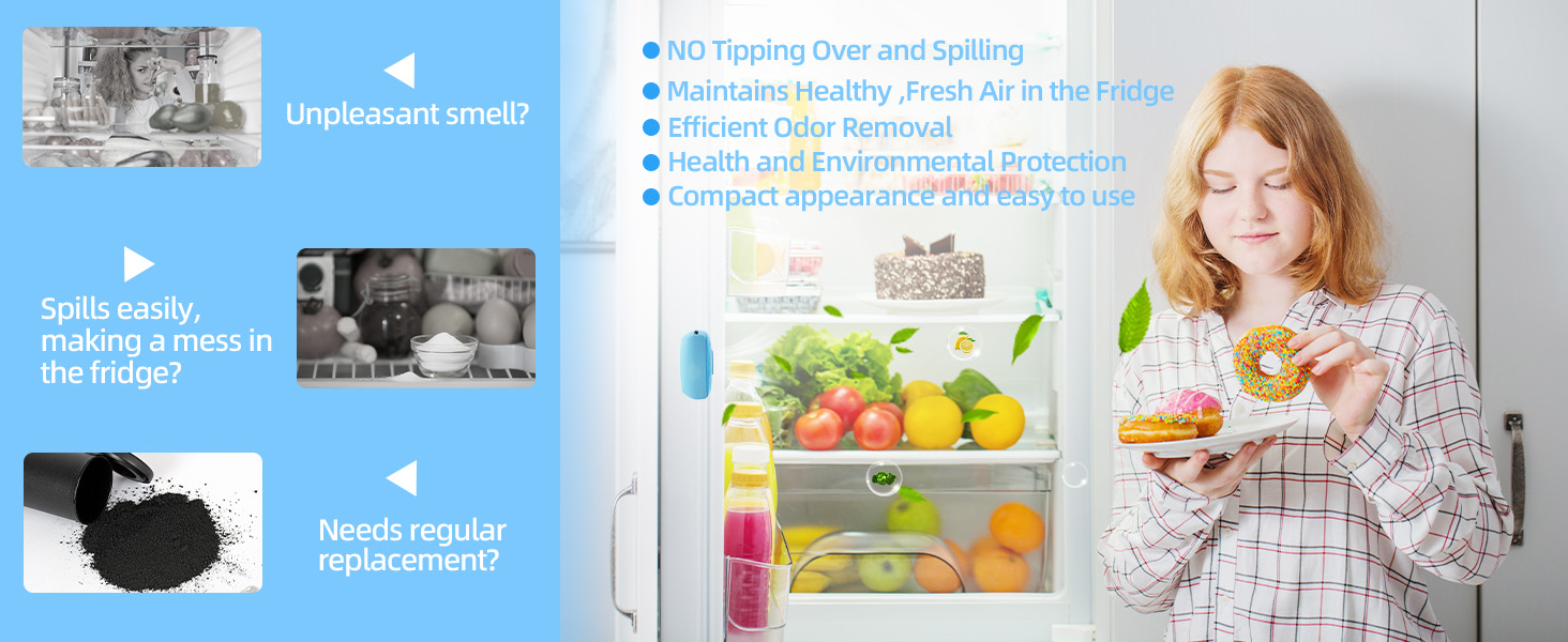 fridge deodorizer