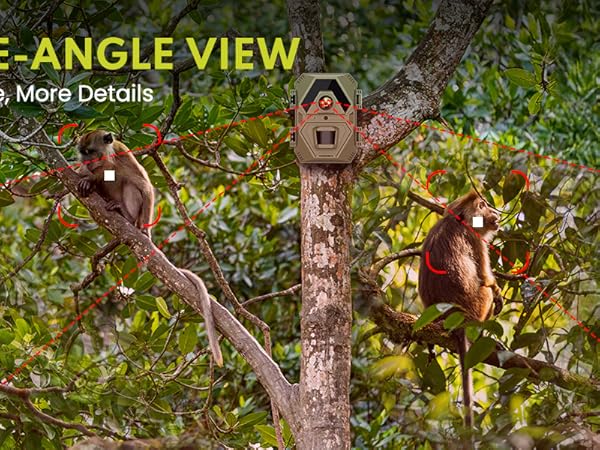 game cameras with night vision motion activated waterproof