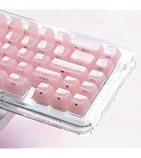 Womier Pudding Keycaps for Mechanical Keyboard 60 65 75 100 Percent - PBT Shine Through Keycaps,165 ...