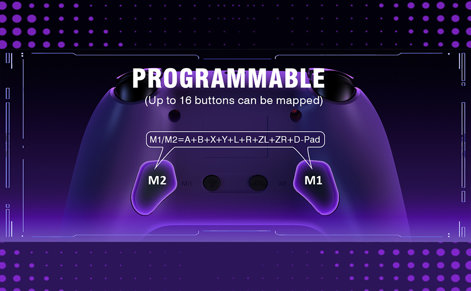 switch controller