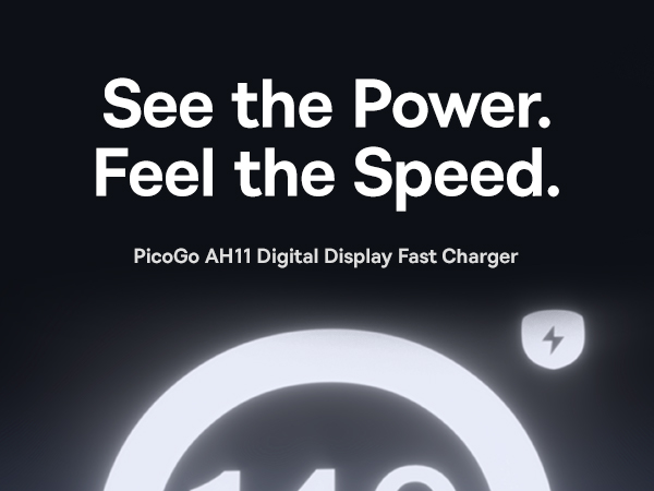 Picogo 140w usb c Charger