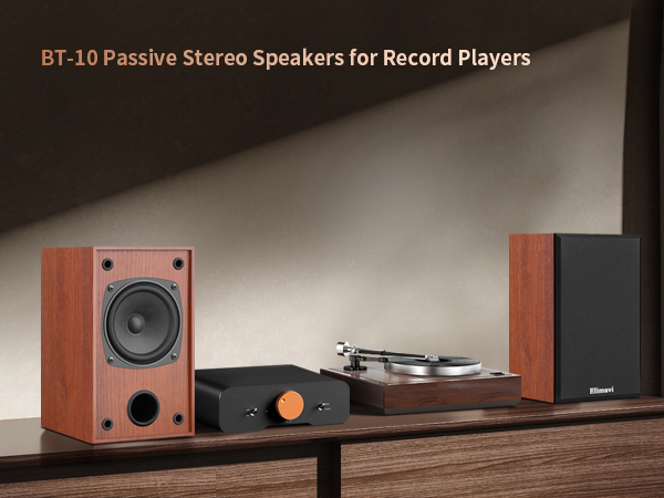 Wood grain passive speakers for record players