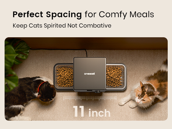 Automatic cat feeder