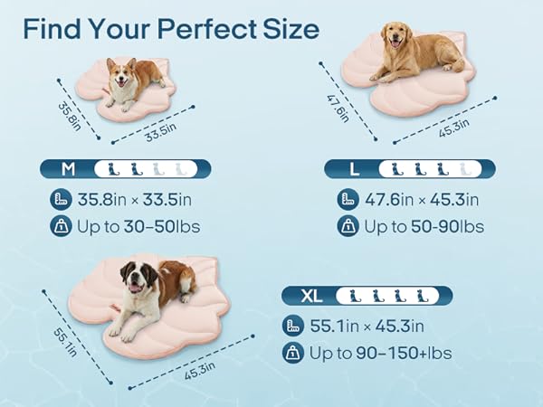 Various Sizes
