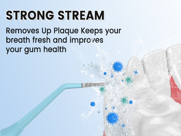 water flosser