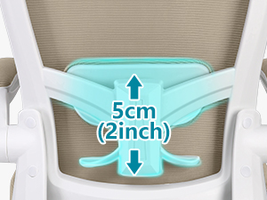 Dynamic Lumbar Support