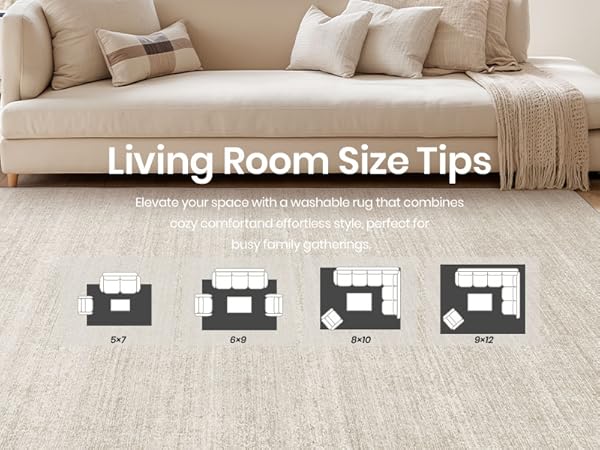 living Room rug