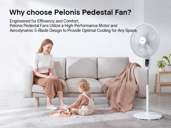 Pelonis Pedestal Fan